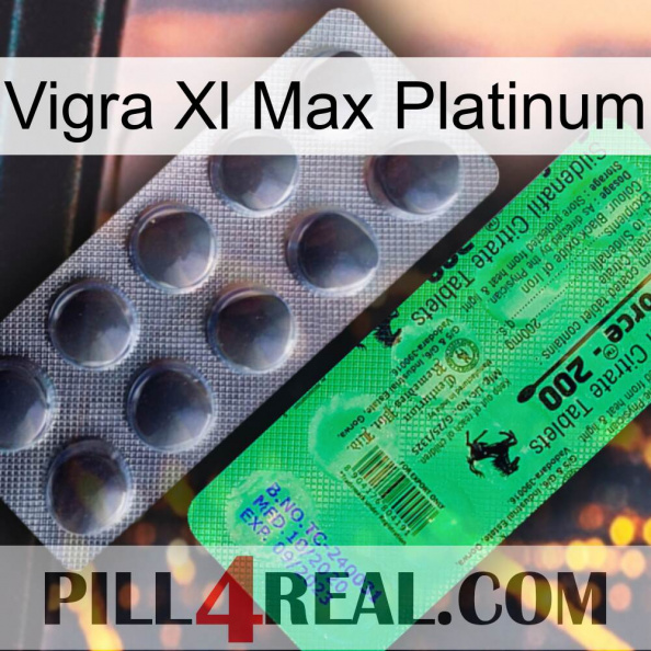 Vigra Xl Max Platinum new04.jpg